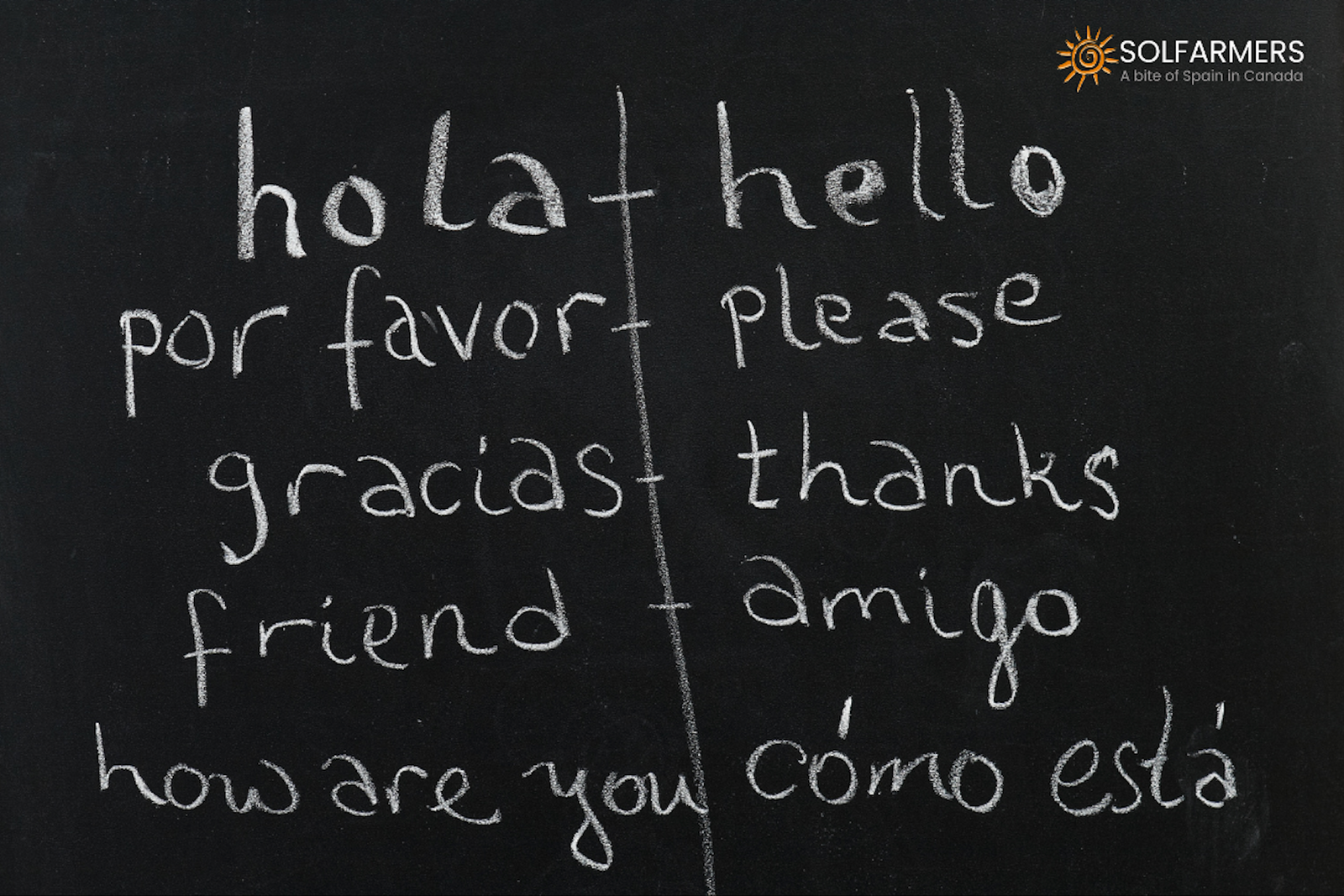 Planning to visit a restaurant in Spain but don’t know how to communicate?