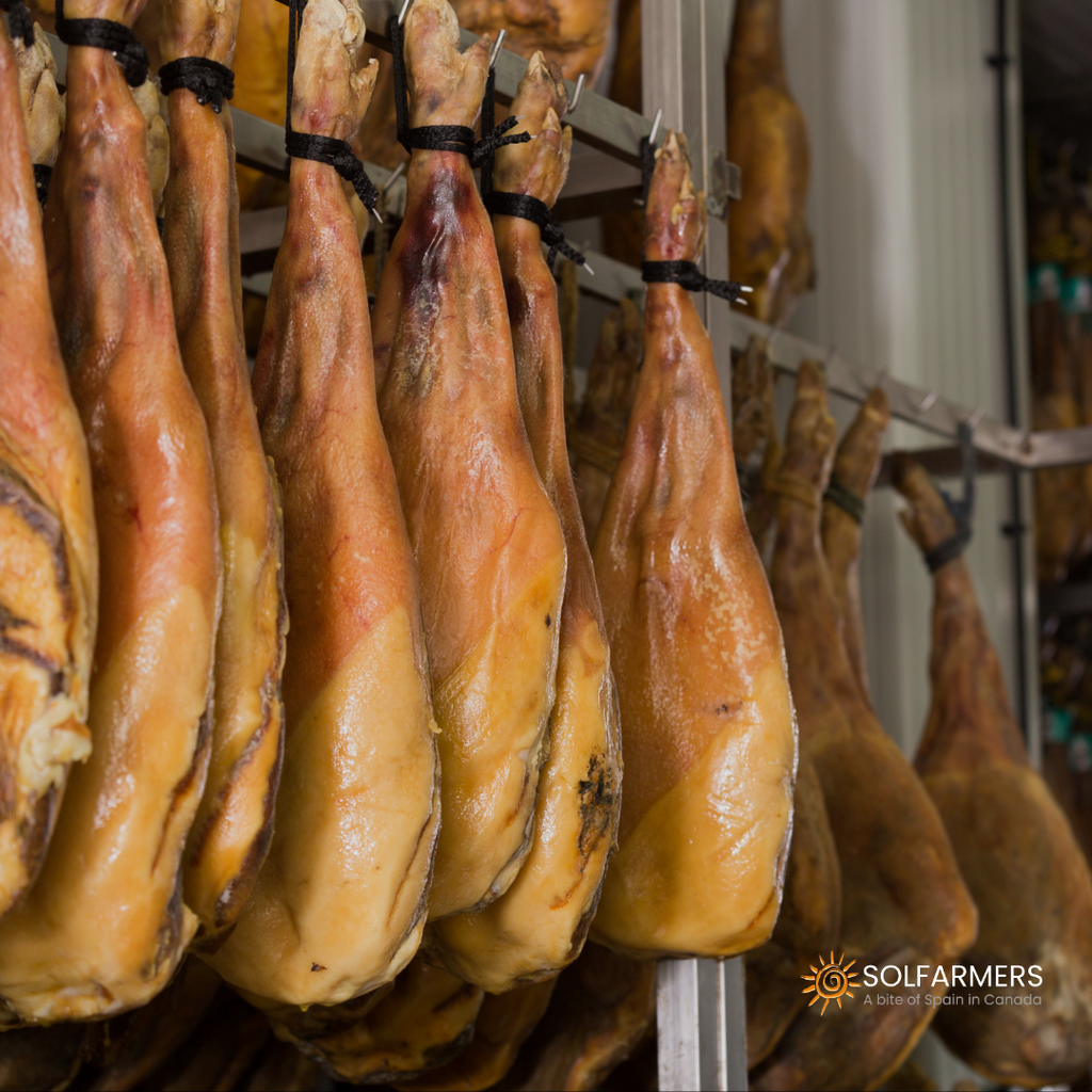 A Guide to Spain's Finest Hams Cebo, Bellota, and Serrano Solfarmers