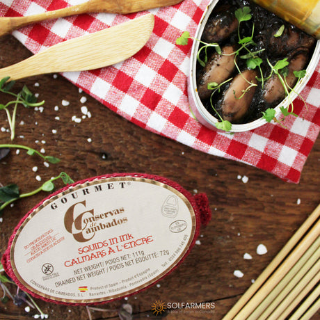 Spanish squid gourmet canned seafood conservas