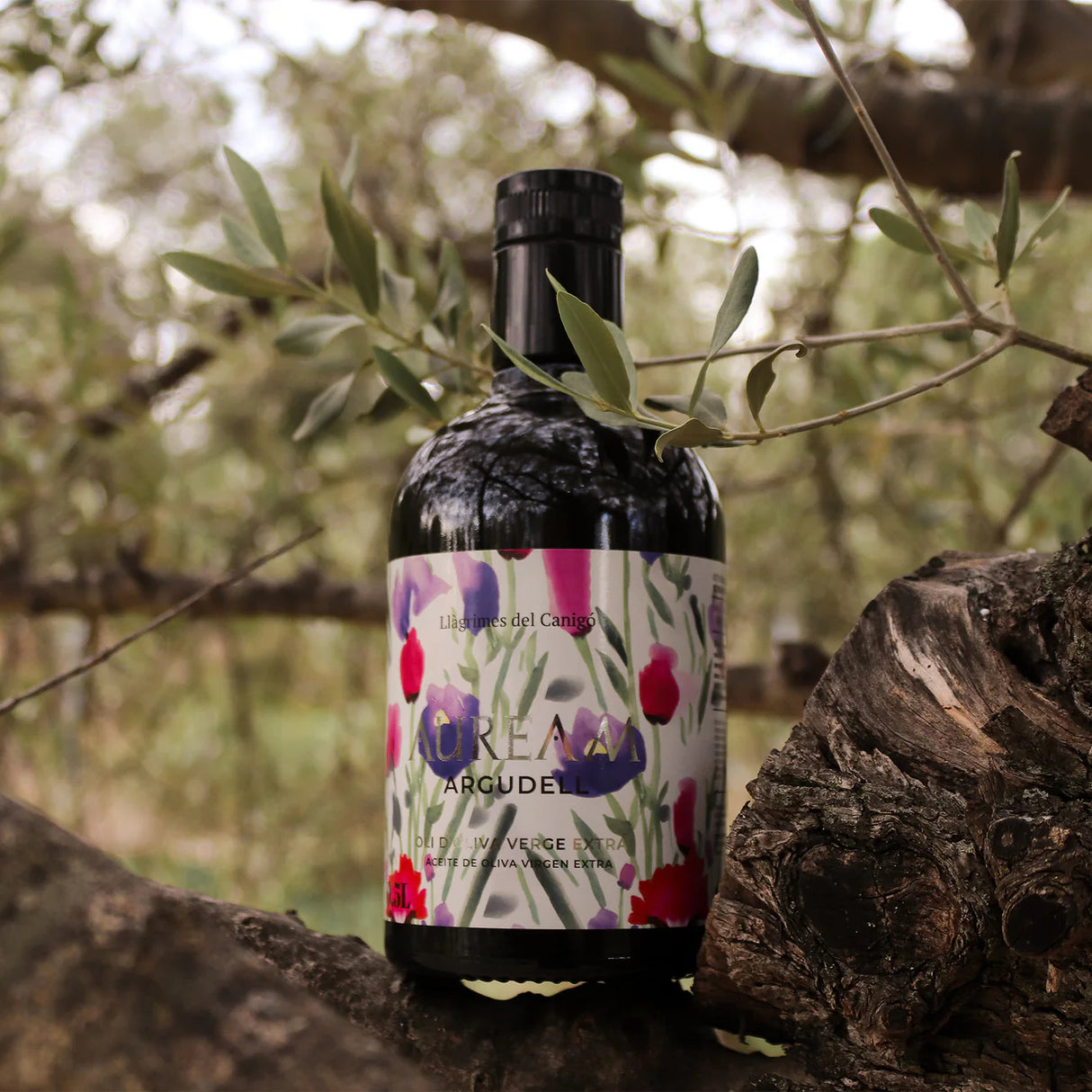 Extra Virgin Olive Oil Auream Argudell - Aceite de Oliva Extra Virgen. Llagrimes del Canigo, 500ml