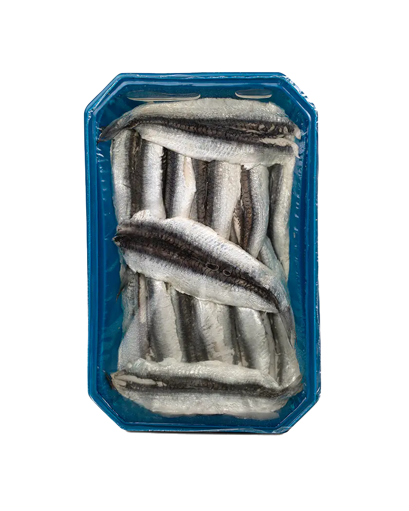 White Anchovies in Sunflower Oil - Boquerones en Aceite. Pujado Solano, 625g