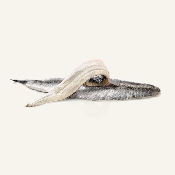 White Anchovies in Sunflower Oil - Boquerones en Aceite. Pujado Solano, 625g