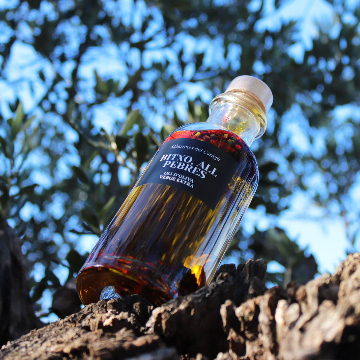 Olive Oil with Chilli, Garlic & Peppers - Aceite de oliva con especias. Llagrimes del Canigo, 250ml