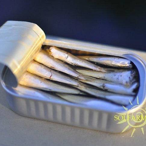 Gourmet small sardines in olive oil - Solfarmers